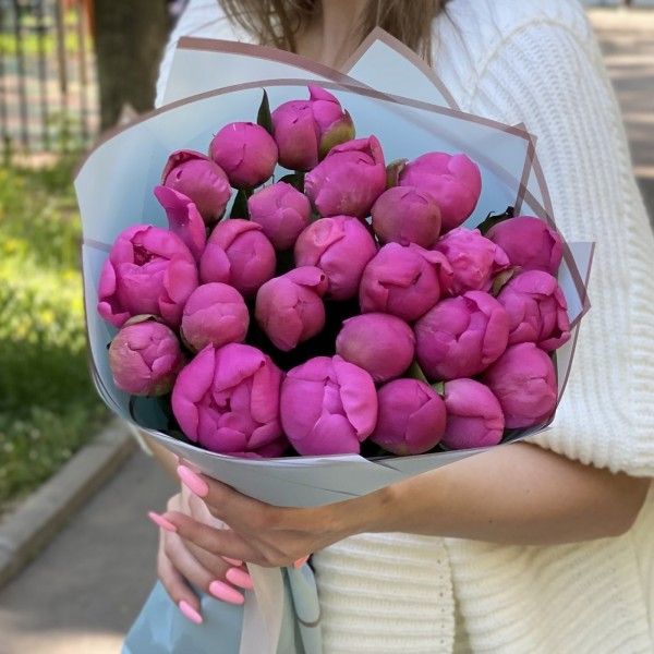 25 малиновых пионов